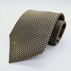 PRONTO UOMO | Platinum 100% silk neck tie